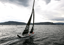Vento forte e ritiri 
alla Velux 5 Oceans